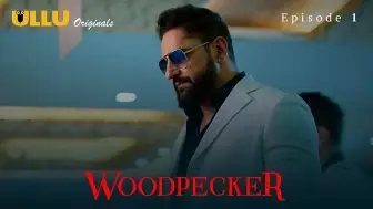 Woodpecker Episode 1