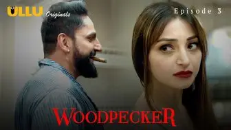 Woodpecker 