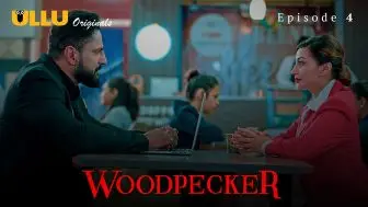 Woodpecker 