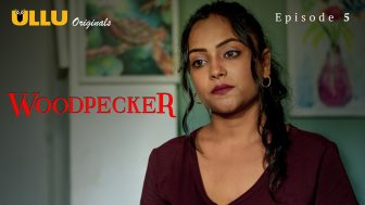 Woodpecker 
