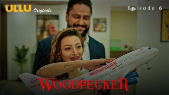 Woodpecker 