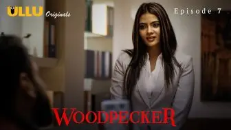 Woodpecker 